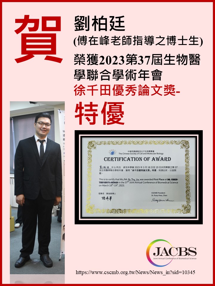簡報